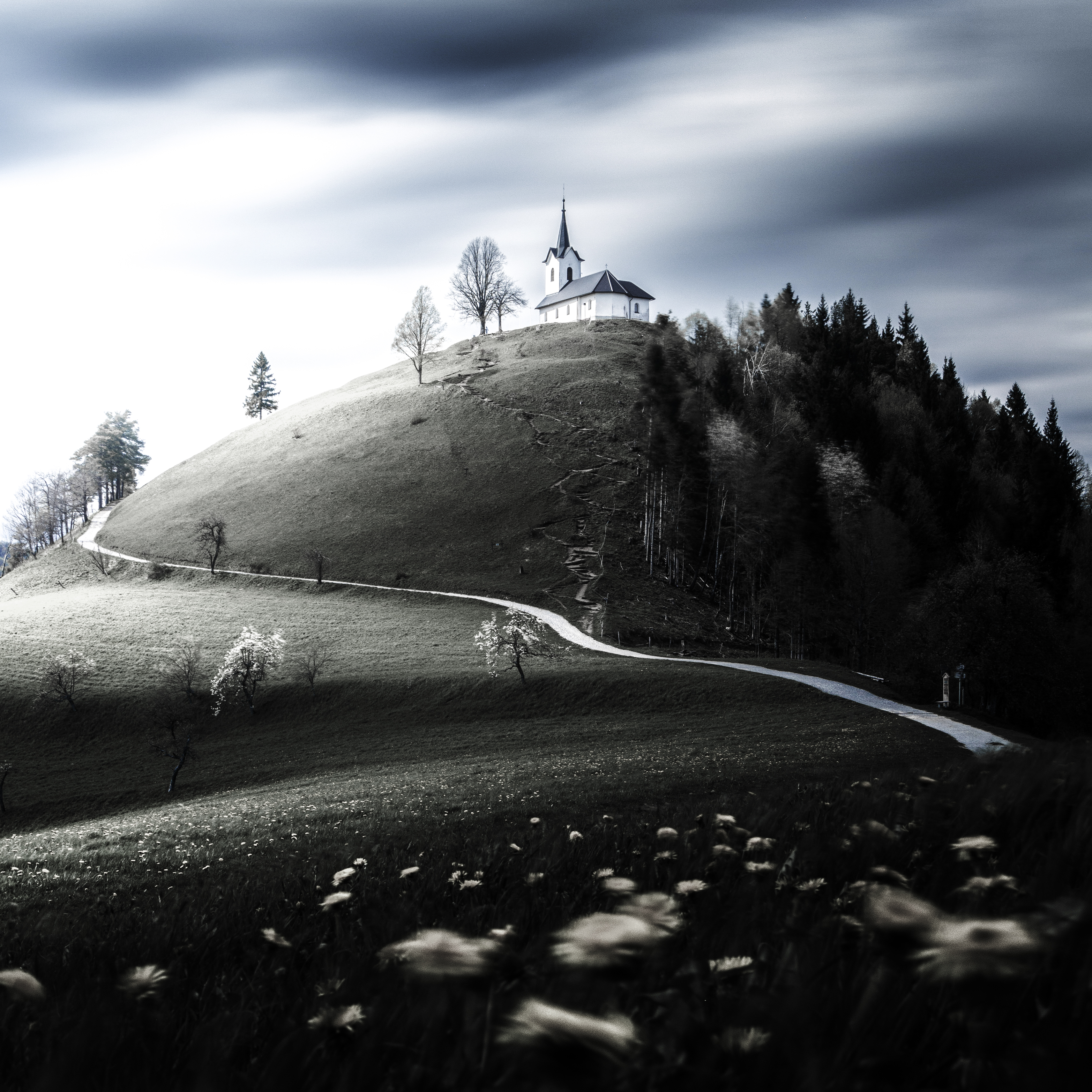 Landscape